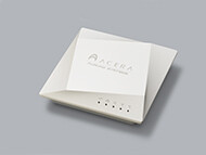 Wi-Fi 6対応のミドルレンジ無線LANアクセスポイント「ACERA 1310」を開発