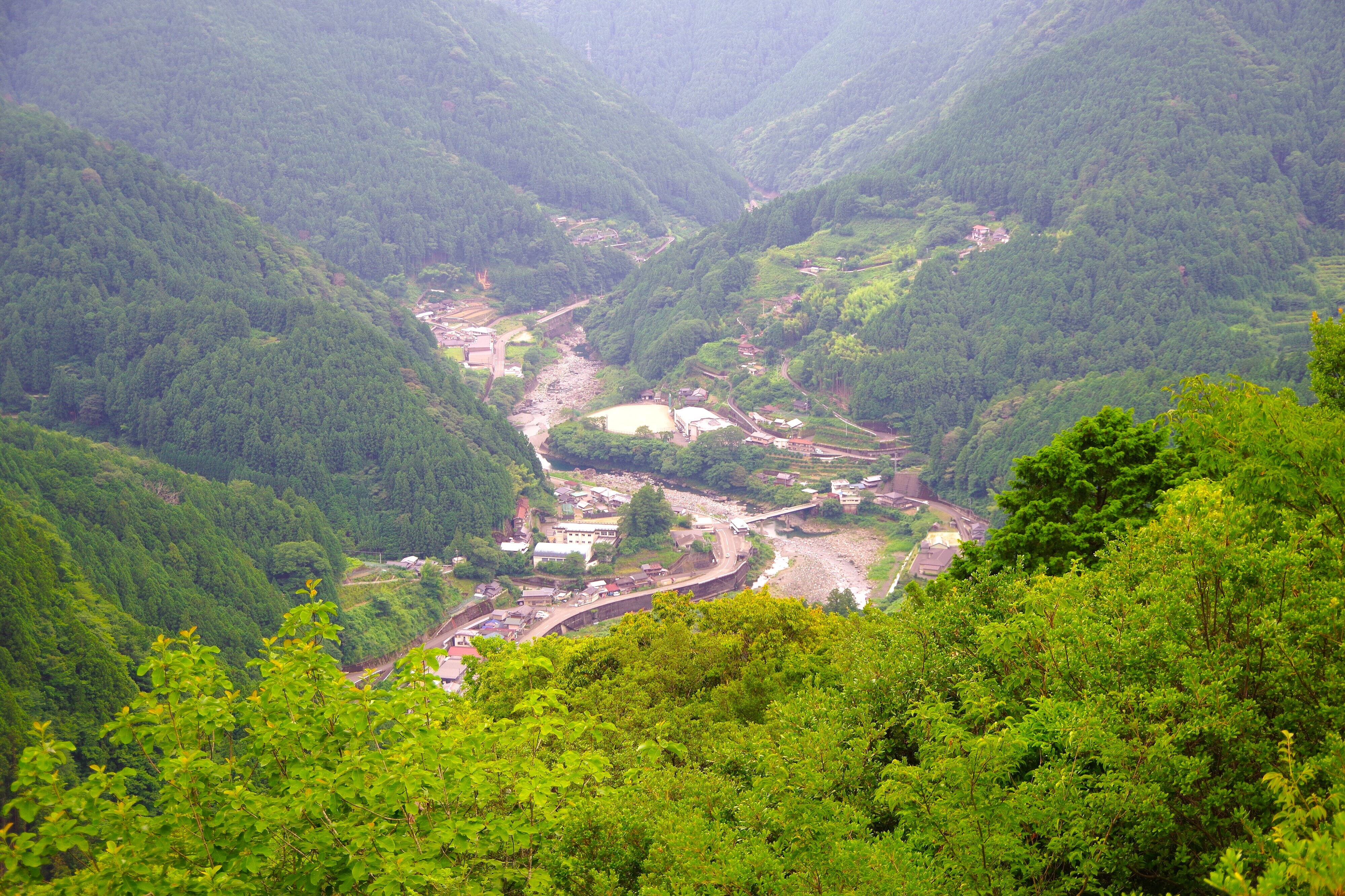 徳島県那賀町　森林景色調整.jpg